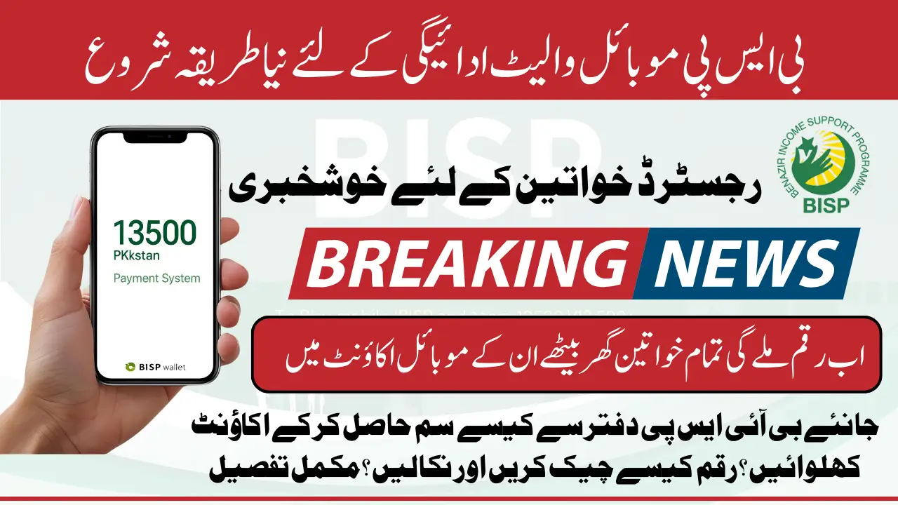 BISP 8171 Digital Payments 2025 Launched By PM Shahbaz Sharif To Provide 13500 In Beneficiary Mobile Know Details