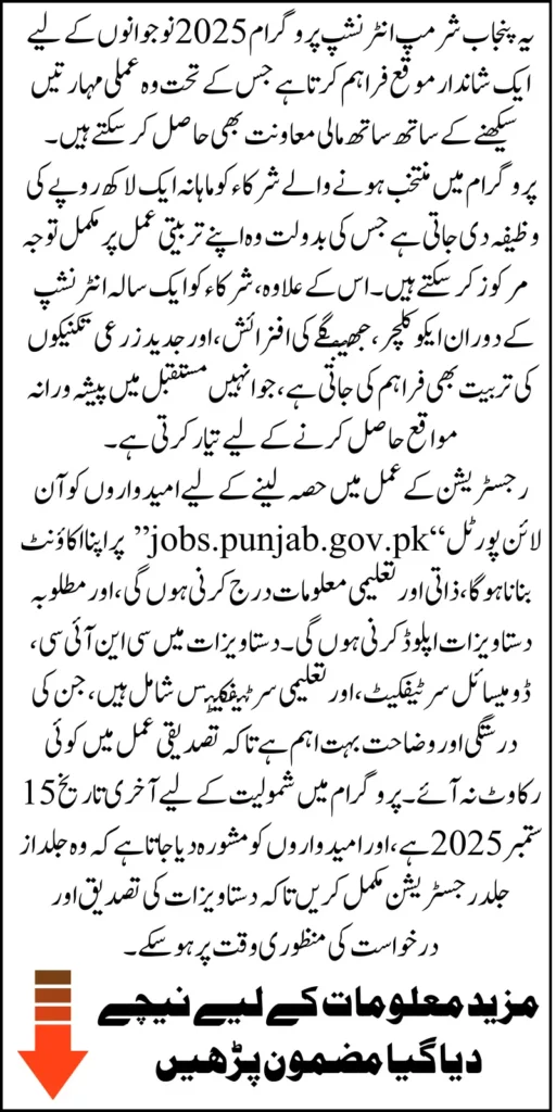 Punjab Muzaffargarh 100000 Stipend Internship 2025 Application Form For Online Application Know Requirements